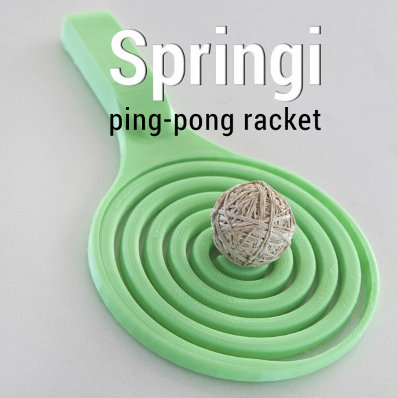 Raquette de ping pong 