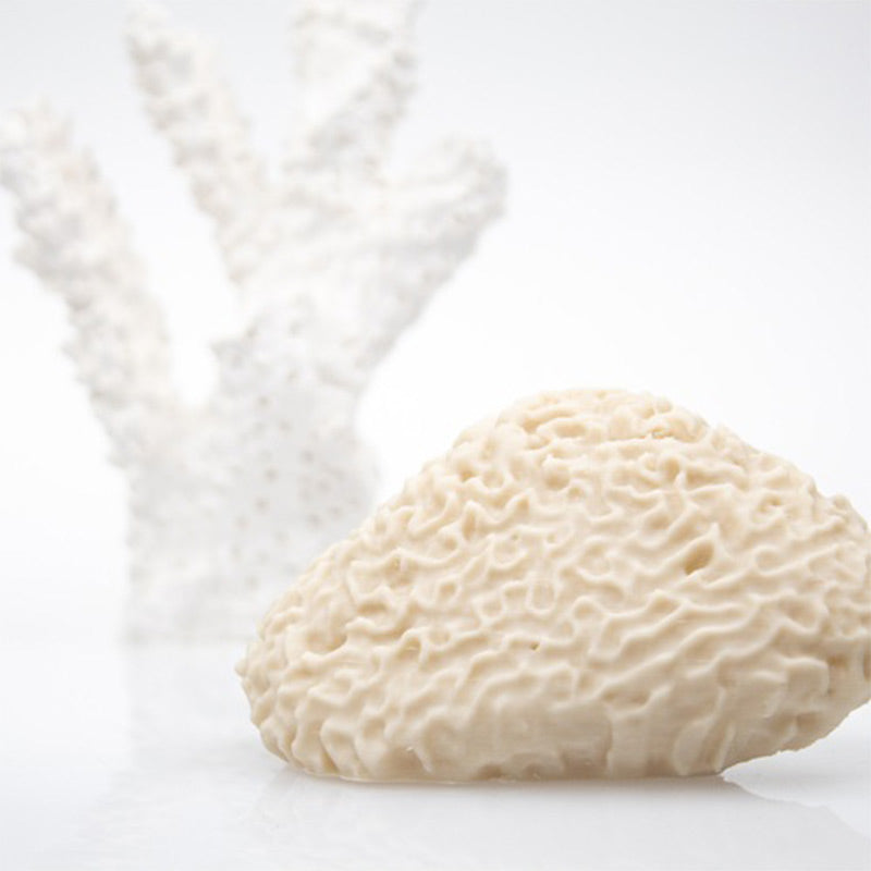 ColorFabb AllPHA